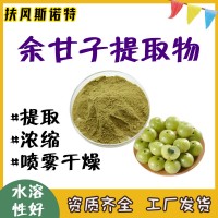 余甘子提取物  帶檢測報告