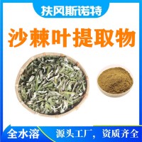 沙棘葉提取物 沙棘葉粉  帶檢測報告