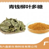 青錢柳葉提取物 青錢柳葉多糖 廠家發貨 可定制
