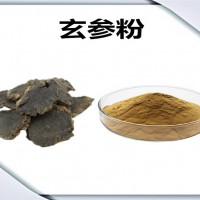 玄參濃縮粉 玄參粉 生產廠家