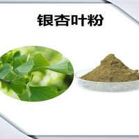 銀杏葉速溶粉 銀杏葉粉 廠家發(fā)貨