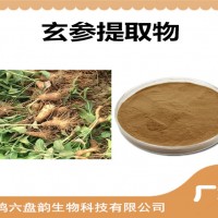 玄參提取物 玄參粉 植物提取物 可定制