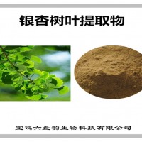 銀杏樹葉提取物 銀杏樹葉粉 廠家發(fā)貨