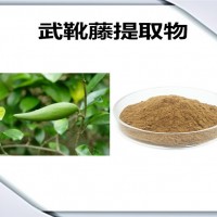 武靴藤提取物 武靴藤粉 可定制生產(chǎn)
