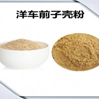 洋車前子殼濃縮粉 洋車前子殼粉 生產廠家
