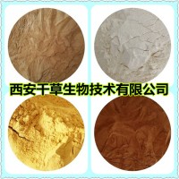 金絲草提取物金絲草浸膏 廠家生產定制水溶性金絲草濃縮粉