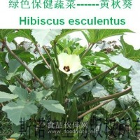 斯諾特生物 天然黃秋葵提取物 秋葵多糖