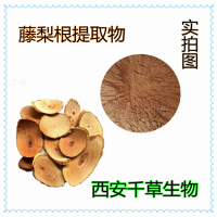 藤梨根提取物 廠家專業生產植物提取物定做濃縮流浸膏