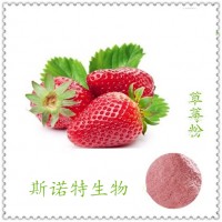 草莓粉  草莓濃縮汁  斯諾特長期供應時令果蔬粉