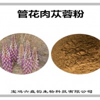 管花肉蓯蓉濃縮粉 管花肉蓯蓉粉 生產廠家