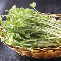 綠豆芽農藥殘留檢測機構,綠豆芽營養成分檢測報告