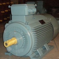 Y280S-2 75KW電機