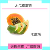 木瓜提取物木瓜粉青木瓜粉天瑞生產多種規格