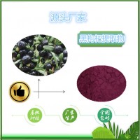 黑果枸杞提取物黑果枸杞粉食品級原料 現貨包郵 源頭廠家