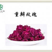 玫瑰花提取物  重瓣玫瑰  自有種植基地