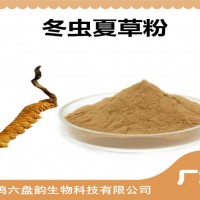 冬蟲夏草提取物 比例提取 冬蟲夏草粉 可定制