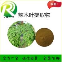 辣木葉提取物新資源食品原料現貨供應辣木葉速溶粉