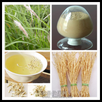 白茅根浸膏 白茅根粉 藥食同源 保健原料