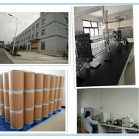 雙黃連提取物噴霧干燥粉寧陜國圣廠家