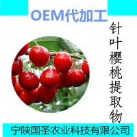 水溶櫻桃粉 櫻桃濃縮粉廠家17%維C現(xiàn)貨供應(yīng)