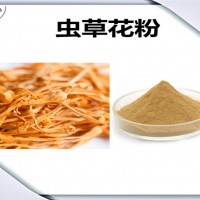 蟲草花濃縮粉 植物提取物 蟲草花粉 生產(chǎn)廠家