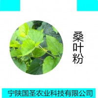 桑葉提取物10:1 桑葉速溶粉固體飲料寧陜國圣OEM代加工