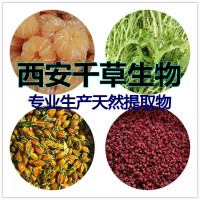水溶性酸棗仁提取物酸棗仁粉 廠家供應(yīng)多規(guī)格酸棗仁濃縮原液