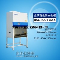 鑫貝西生物安全柜廠家底價直銷BIOBASE生物安全柜全場5折