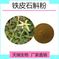 鐵皮石斛提取物食品原料SC廠家鐵皮石斛多糖 石斛堿