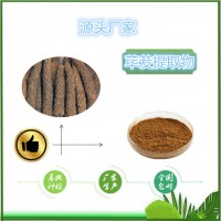 蓽茇提取物10:1食品原料SC廠家蓽茇粉水溶蓽茇浸膏