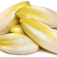 菊苣粉 菊粉食品代工