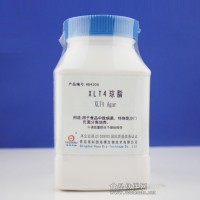 XLT4瓊脂