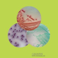 大腸桿菌／大腸菌群顯色培養(yǎng)基