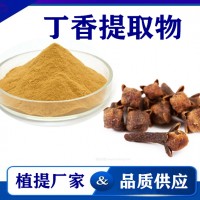 丁香提取物 水溶性丁香粉丁香速溶粉 斯諾特生物