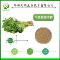 馬齒莧粉水溶馬齒莧提取物