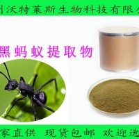 黑螞蟻提取物 黑螞蟻粉 黑螞蟻多肽