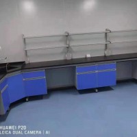 白沙實驗室家具、實驗臺 、通風(fēng)柜、儀器臺供應(yīng)商