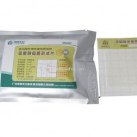 霉菌酵母菌測試片