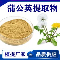 蒲公英提取物 廠家供應水溶性蒲公英粉 藥食同源