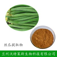 絲瓜提取物 20:1  10:1比例 廠家直銷
