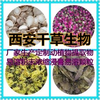 白毛夏枯草粉 廠家生產植物提取物定做白毛夏枯草濃縮浸膏