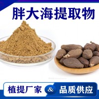 胖大海提取物 廠家供應水溶性胖大海粉 藥食同源