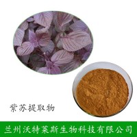 紫蘇葉 植物提取物 紫蘇葉提取物 定制供應