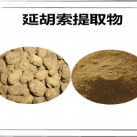 延胡索提取物 比例提取 多種規格 延胡索粉