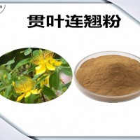 貫葉連翹速溶粉 水溶性好 貫葉連翹粉
