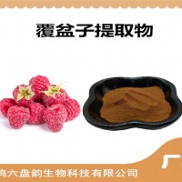覆盆子提取物 覆盆子粉 藥食同源原料
