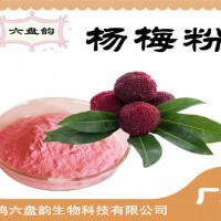 楊梅粉 楊梅果粉 固體飲料原料