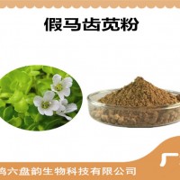 假馬齒莧濃縮粉 假馬齒莧粉 生產廠家