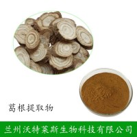葛根提取物  葛根浸膏   大量庫存  批發價格