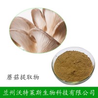 蘑菇提取物 雙孢蘑菇粉  蘑菇多肽 包郵